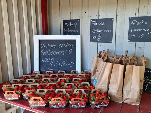 frische Erdbeeren und Kartoffeln aus Eigenanbau