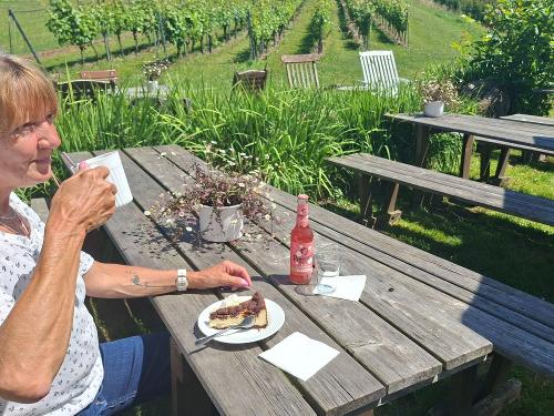 köstliche Kuchen und Kaffeespezialitäten mit Blick auf die Weinreben und Obstfelder