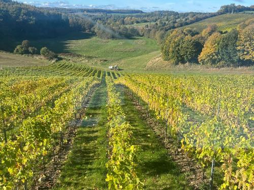 Unser Weinberg Unser Weinberg