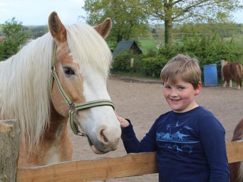 ole_neversfelde ole_neversfelde