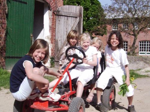 gocart_neversfelde gocart_neversfelde