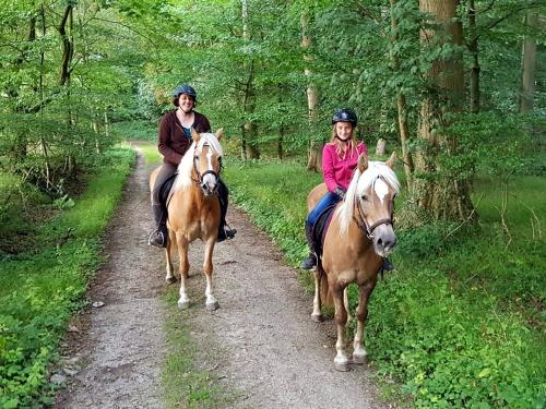 reiten_neversfelde412737 reiten_neversfelde412737