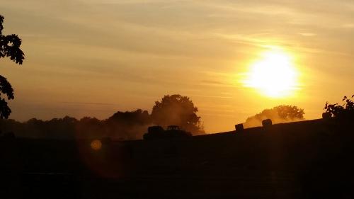 Ernte am Abend
