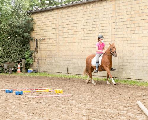 Ponyreiten