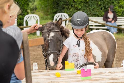 Ponyreiten