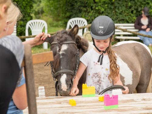 Ponyreiten