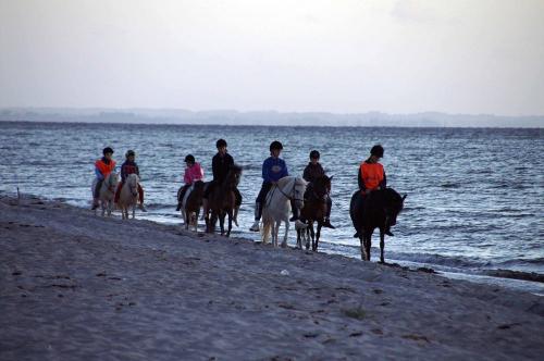 nvkausrittstrand