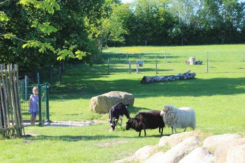 Erlebe unser großzügiges Tiergehege