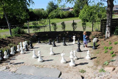 Lerne in Deinen Ferien Schach spielen