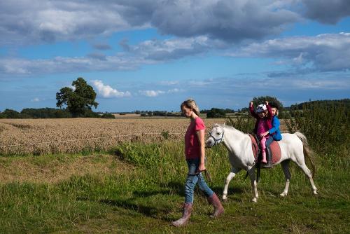 Ponyreiten