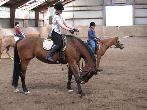 Auf Osterbunsbuell qualifiziert Reiten lernen