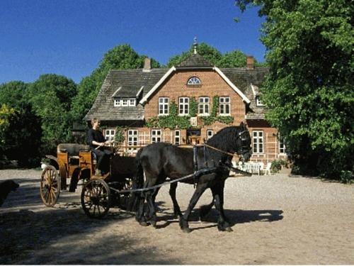 Ferienhof Reiterhof Osterbunsbüll