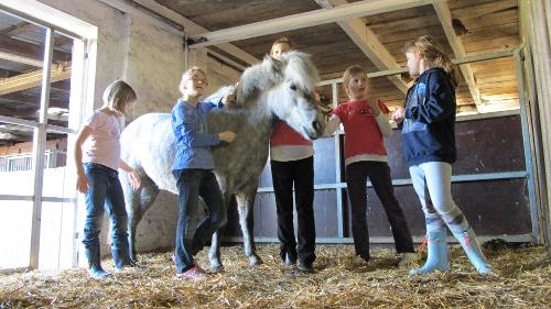 Ostsee Familienurlaub Reiterferien Osterbunsbüll