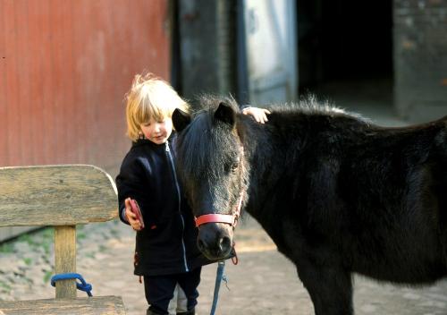 Reiten Ostsee Ferienhof Osterbunsbüll