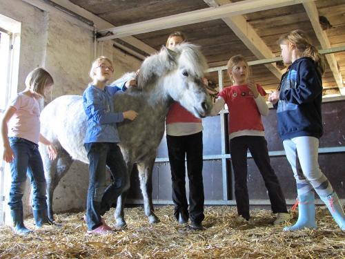 Ostsee Familienurlaub Reiterferien Osterbunsbüll