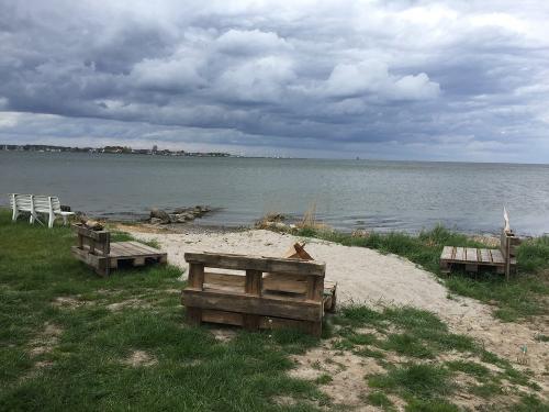 schlei
