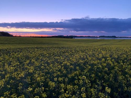 abendstimmung