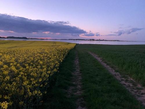 wegzurschlei