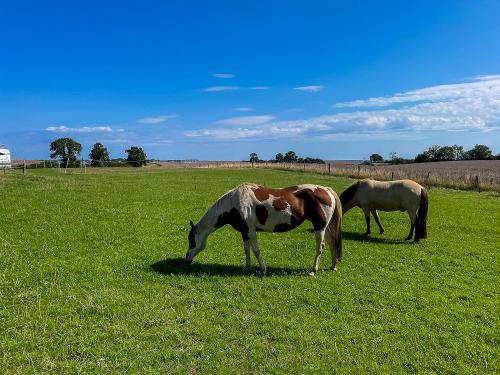 kappeln_2025_iphone_088