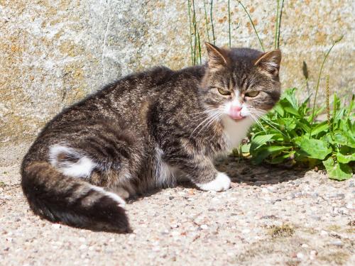 24_07_28_nonsfeld_gruppenbilder_etc_050