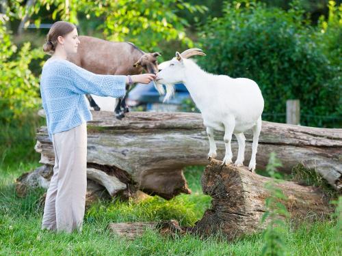 24_07_23_karla_ziegen_07