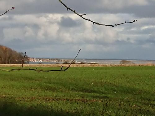Blick vom Spaziergang auf den Wald, die Schlei und den Ort Maasholm 15 Minuten vom Hof zu Fuss