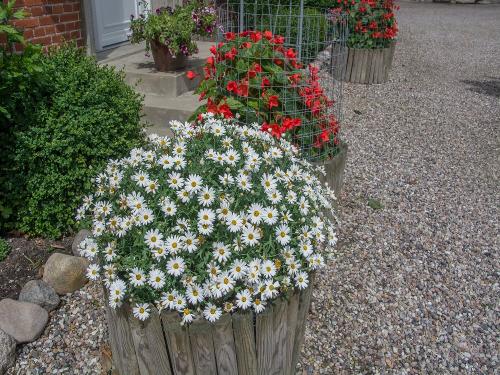 Blumen