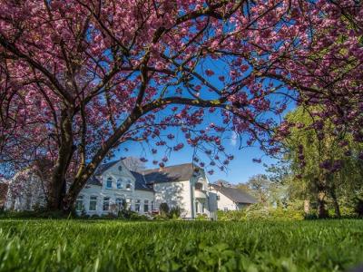 Haus mit Kirschblüte