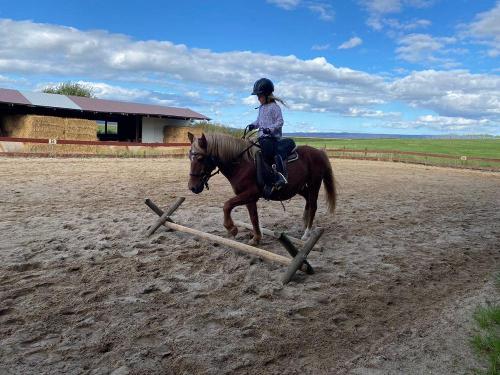 Ponyreiten
