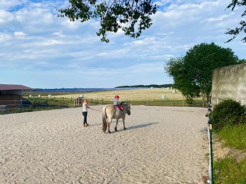 IMG_8589 1 IMG_8589 1