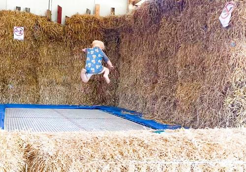 IMG_8551 1 IMG_8551 1