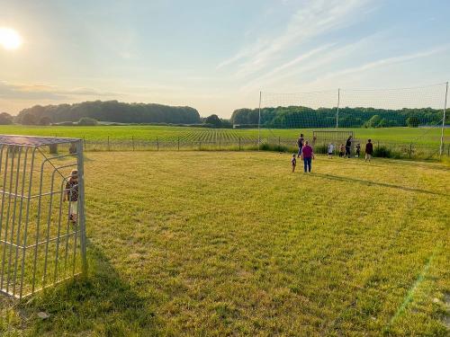 IMG_8649 1 IMG_8649 1