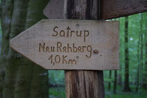 Im Rehberger Wald