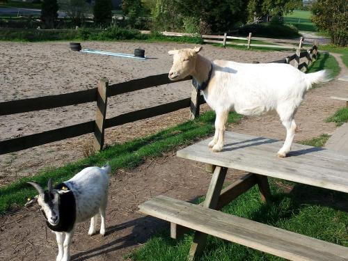 von hier oben ist der Ausblick besser ;-) von hier oben ist der Ausblick besser ;-)