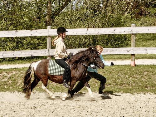 gut_oestergaard_reiten_0082 gut_oestergaard_reiten_0082