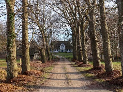 0503-2019-1039712124304678847527