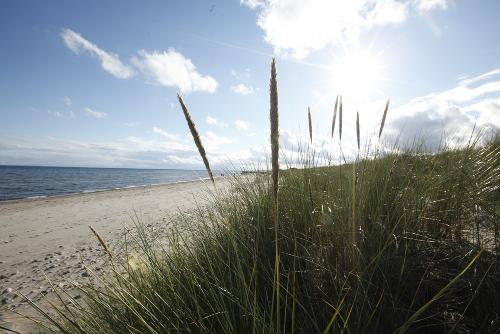 Natursandstrand Klostersee