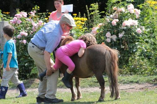 Dahmerhof Ponyreiten