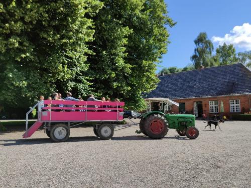 Treckerfahrt im großen pinken Anhänger