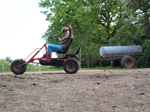 Coole Dino-Car-Fahrer
