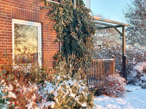 Die Terasse der Sonata im Winter