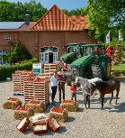 2022-10-06herbst4