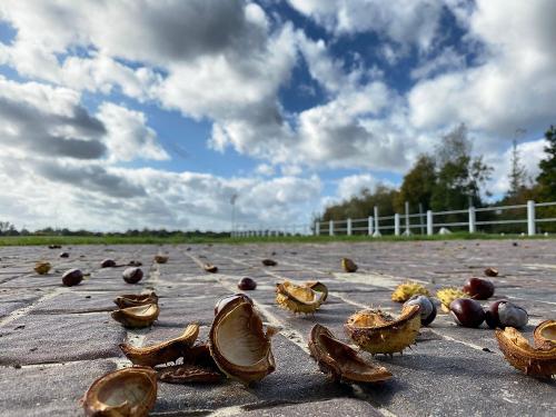 2022-10-06herbst2