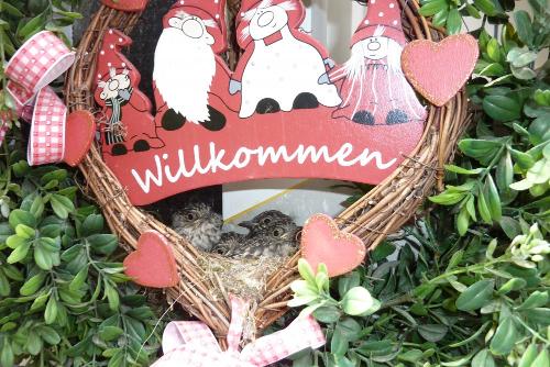 Herzlich Willkommen auf dem Ferienhof Kluvetasch