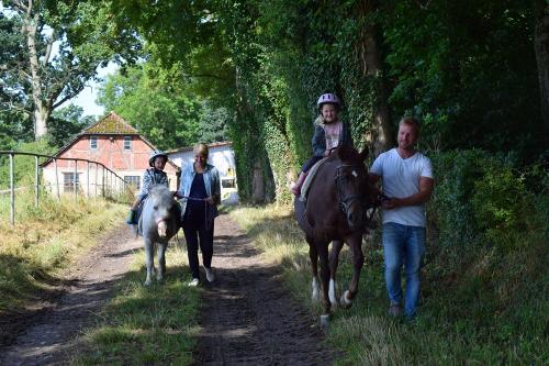 ponyreiten