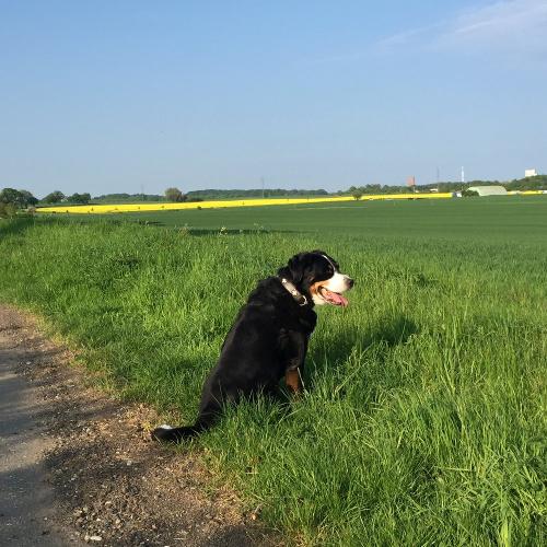 Spaziergang