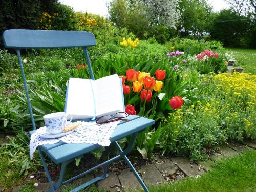 Entspannung mit Buch und Tee