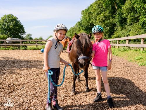 Ferienbauernhof Mau - Haus 1- Es gibt auch Pferde und regelmäßige Reitangebote