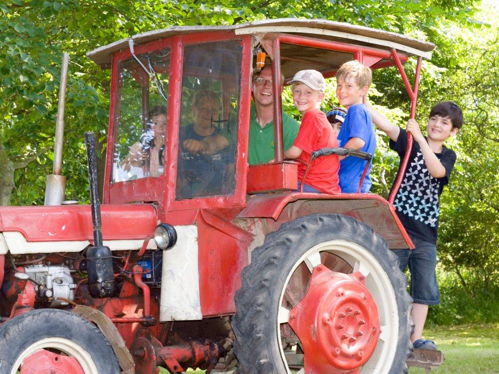 Fehmarn Urlaub auf dem Bauernhof Fehmarn Urlaub auf dem Bauernhof