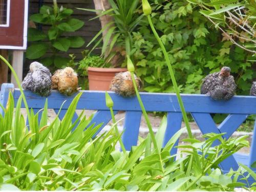 img20151214_19375051 img20151214_19375051